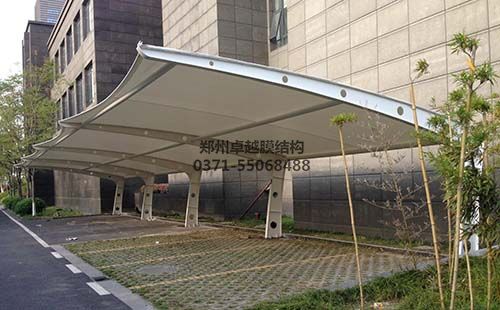 河南平顶山市畅的科技深夜视频在线