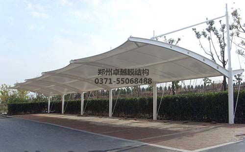 阳泉丰泽园深夜视频在线