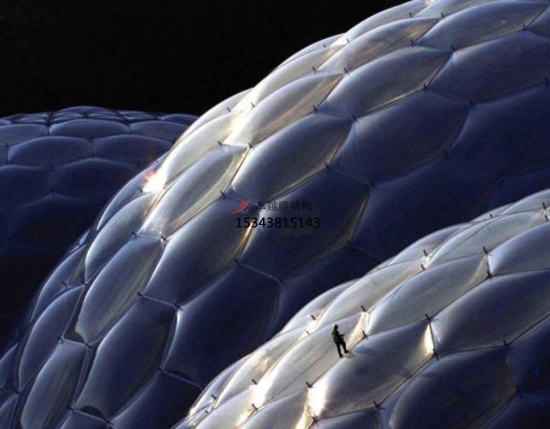 ETFE